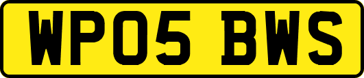 WP05BWS