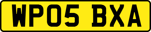 WP05BXA