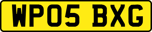 WP05BXG