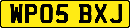 WP05BXJ