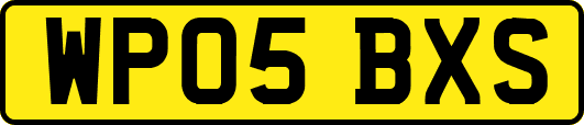 WP05BXS