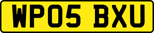 WP05BXU