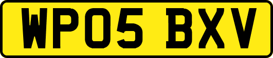 WP05BXV