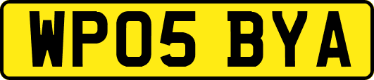 WP05BYA