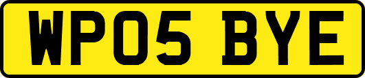 WP05BYE