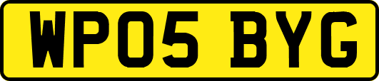 WP05BYG