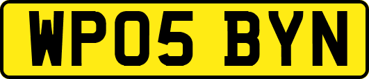 WP05BYN