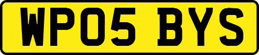 WP05BYS