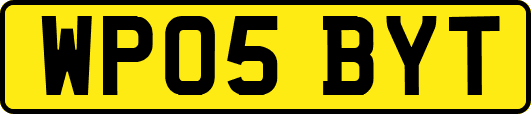 WP05BYT