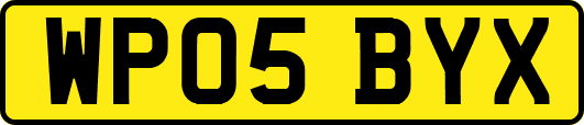 WP05BYX