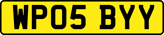 WP05BYY