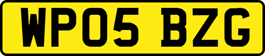 WP05BZG