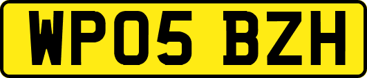 WP05BZH