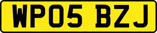 WP05BZJ