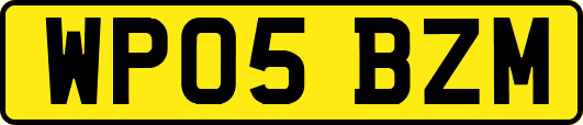 WP05BZM