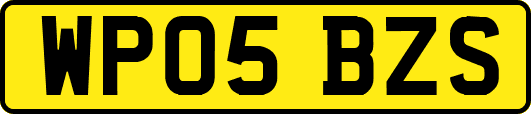 WP05BZS