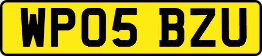 WP05BZU