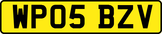 WP05BZV