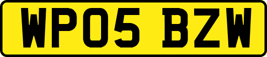 WP05BZW