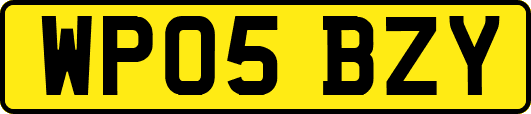 WP05BZY