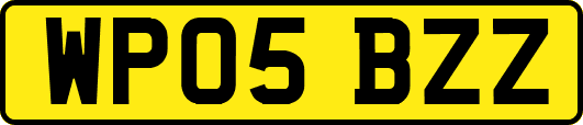 WP05BZZ