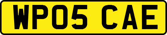 WP05CAE