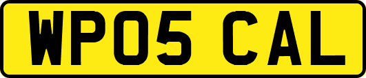 WP05CAL