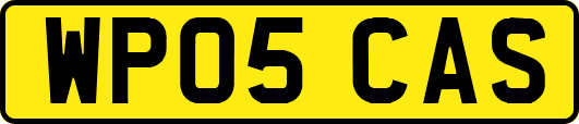 WP05CAS
