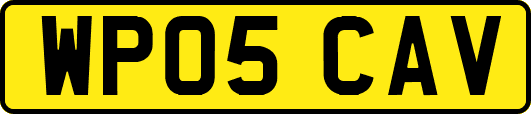 WP05CAV