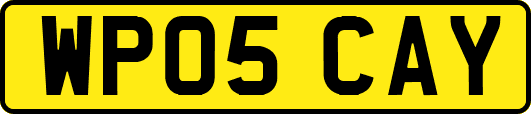 WP05CAY