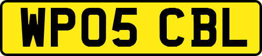 WP05CBL