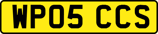 WP05CCS