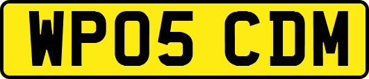 WP05CDM