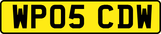 WP05CDW