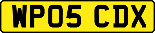WP05CDX