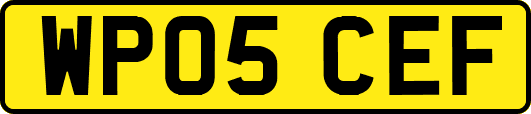WP05CEF