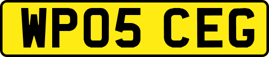 WP05CEG