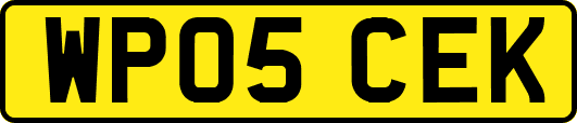 WP05CEK
