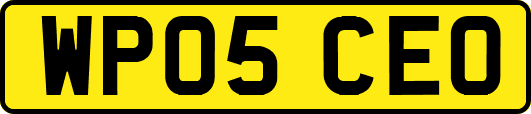 WP05CEO