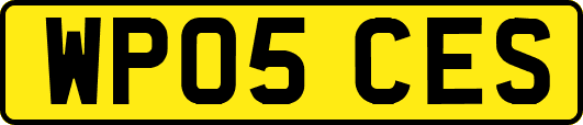 WP05CES