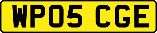WP05CGE