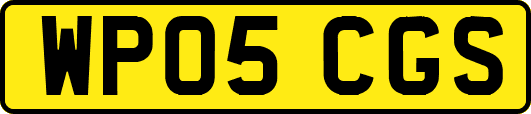 WP05CGS