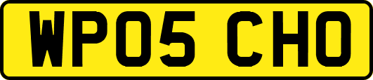 WP05CHO