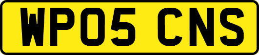 WP05CNS