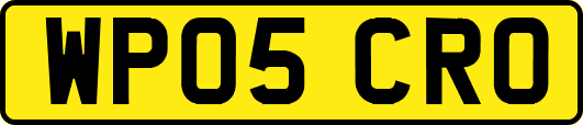WP05CRO