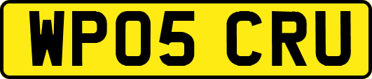 WP05CRU