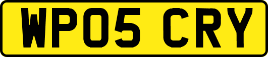 WP05CRY
