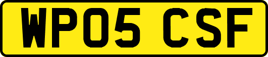 WP05CSF