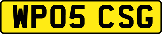 WP05CSG