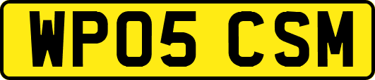 WP05CSM